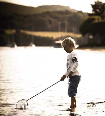 Crabbing in salcombe