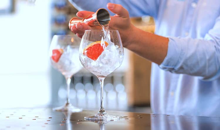 salcombe gin